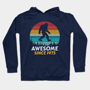 Awesome Since 1975 Hoodie